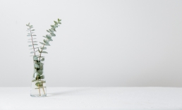 Personal counselling to individuals and a range of services to Corporate Clients - Yarra Psychology.
